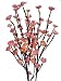 Plum Blossom Light