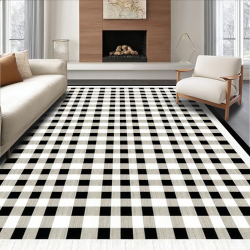ODIKA Flatwoven High Traffic Area Rug 4x6, Mudroom Checkerboard Grid
