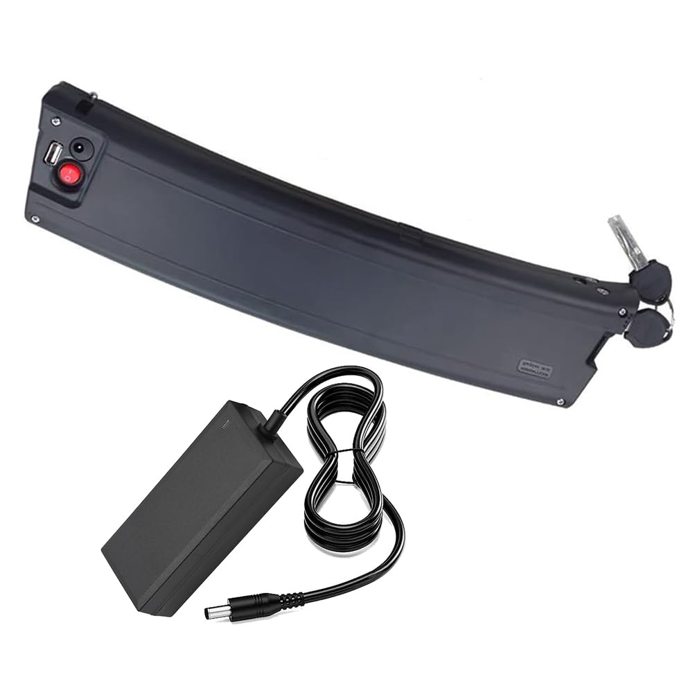 Batteria per e-Bike 24V 10Ah 12.8Ah 14Ah Batteria al Litio 36V 7.8Ah 8.7Ah 10.5Ah Batterie di Forma Curva con Caricabatterie