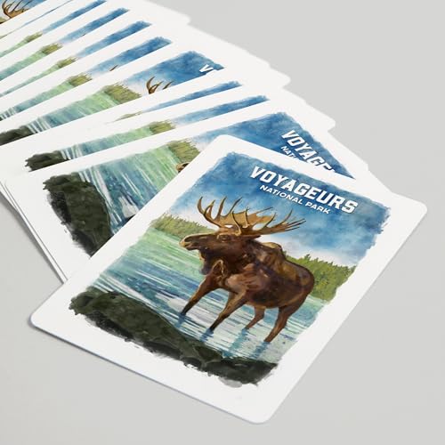 Lantern Press Voyageurs National Park naipes póker 52 cartas miniatura 5