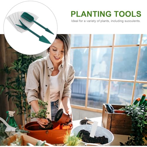 Set herramientas de jardinería Beavorty 12 pcs para suculentas miniatura 7