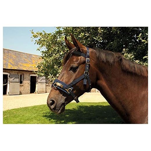 Rhinegold Nylon Lunge Cavesson in Navy