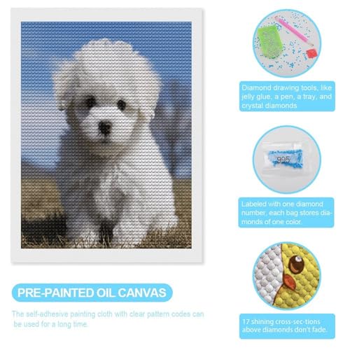 Kits de pintura de diamantes 5D para adultos y principiantes de Bichón Frisé 3
