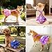 Idepet Female Dog Diapers with Suspender Detachable, 3 Pack Tie Dye Washable Reusable Girl Doggie Diapers Skirts for Small Medium Female Dog in Heat Period Cycle Urinary Incontinence Training XS