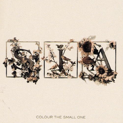 Colour the Small One [Audio CD] Sia