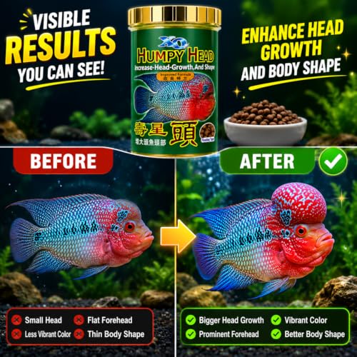 Image of VAYINATO Ocean Free XO Green Original Flowerhorn Fish Food 100g (280ml) | Head Growth & Kok Development | Color Enhancer Pellet Food for Flowerhorn Cichlid