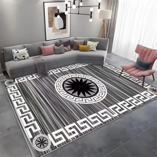 Tapis entrée extérieur gris 60x90cm, la solution lavable pour le salon