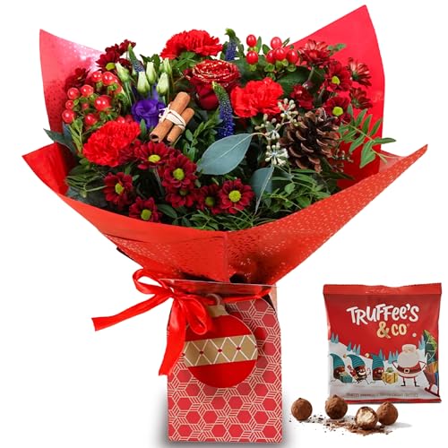 All Occasions Christmas Flower Bouquet, Red & Purple Fresh Flowers, Perfect for Birthdays, Anniversaries & Christmas Gifts