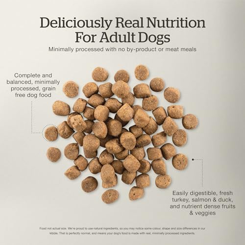 Image of Now Fresh All Breed Dry Dog Food, Turkey, Salmon and Duck, 12 lb