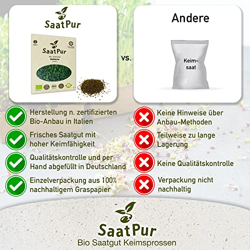 Sellerie BIO Keimsprossen von SaatPur - Keimsaat für Sprossen, Microgreens - 15g