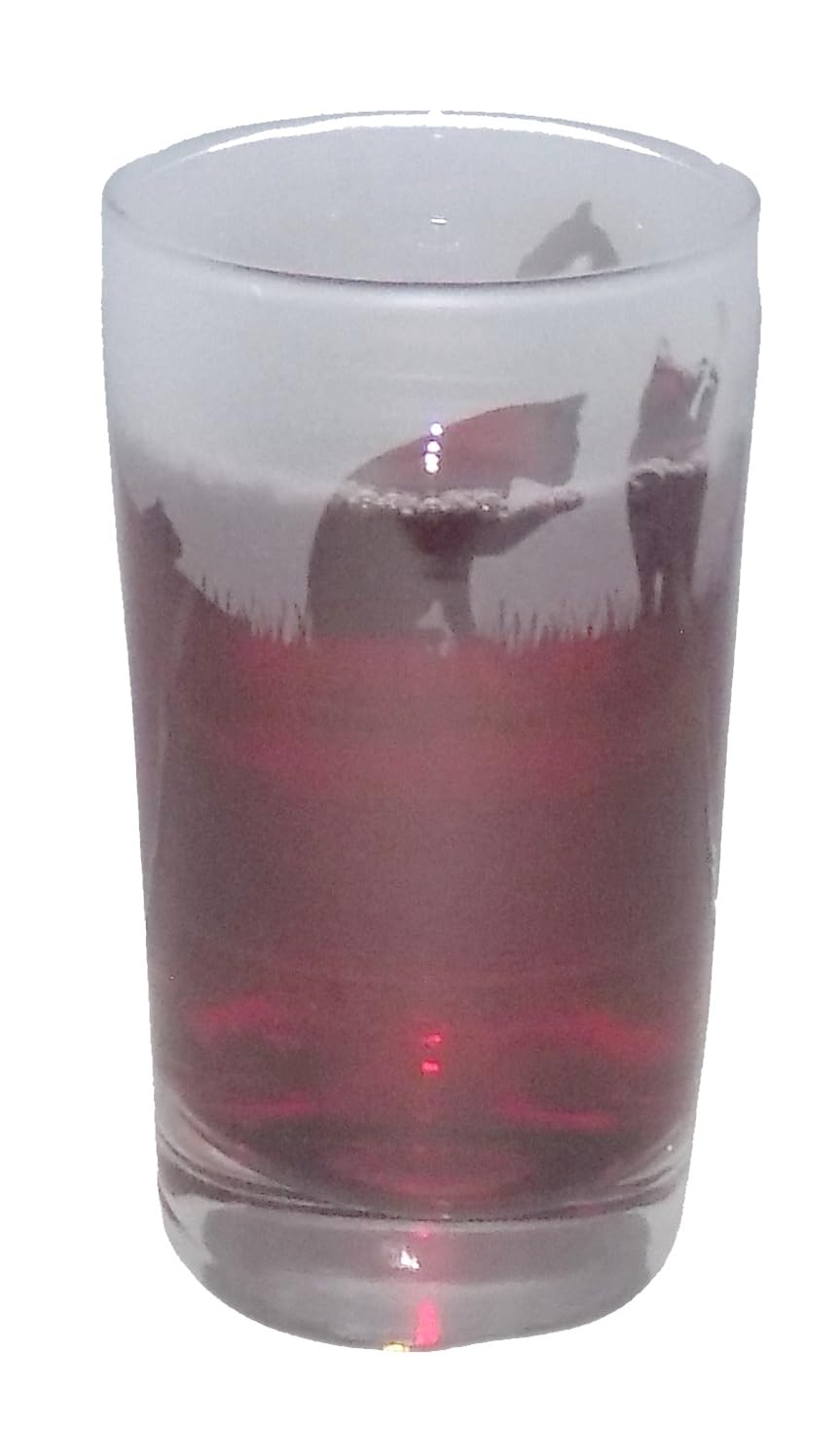 CAT Hand Etched Highball Tumbler