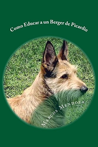Como Educar a un Berger de Picardie