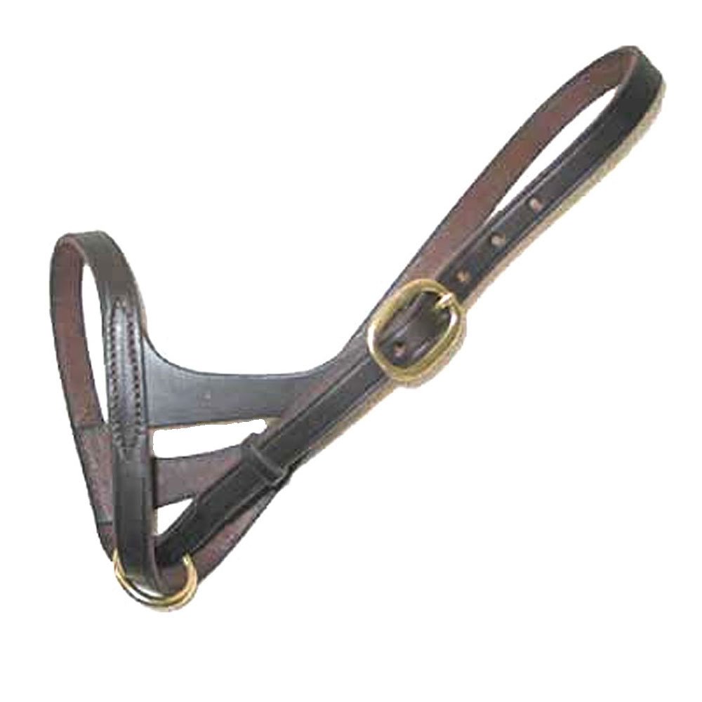 Intrepid International Leather Foal Slip Halter - Premium Quality Dark Havana Leather for Maximum Comfort and Control