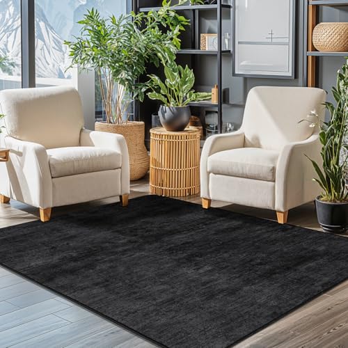 4x6 Washable Area Rug, Black Solid Area Rugs for Living Room & Bedroom