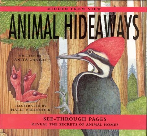 Fresh Look at Animal Hideaways See Through Pages Reveal The Secrets Of Animal