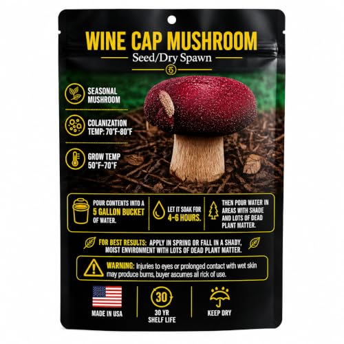 Wine Cap Mushroom Seed/Dry Spawn