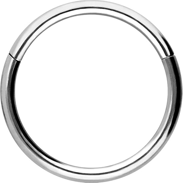 PIERCINGLINE Anillo segmento Clicker de acero quirúrgico – Piercing en oro, plata, rosa, negro o azul – para nariz, tabique, oreja, hélice o tragus - 1