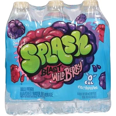 Splash Refresher Wild Berry | 16.9 Fl Oz | Plastic Bottle | 24 Pack