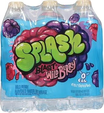 Splash Refresher Wild Berry | 16.9 Fl Oz | Plastic Bottle | 24 Pack
