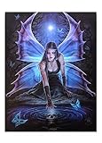 Immortal Flight Canvas Print By Anne Stokes