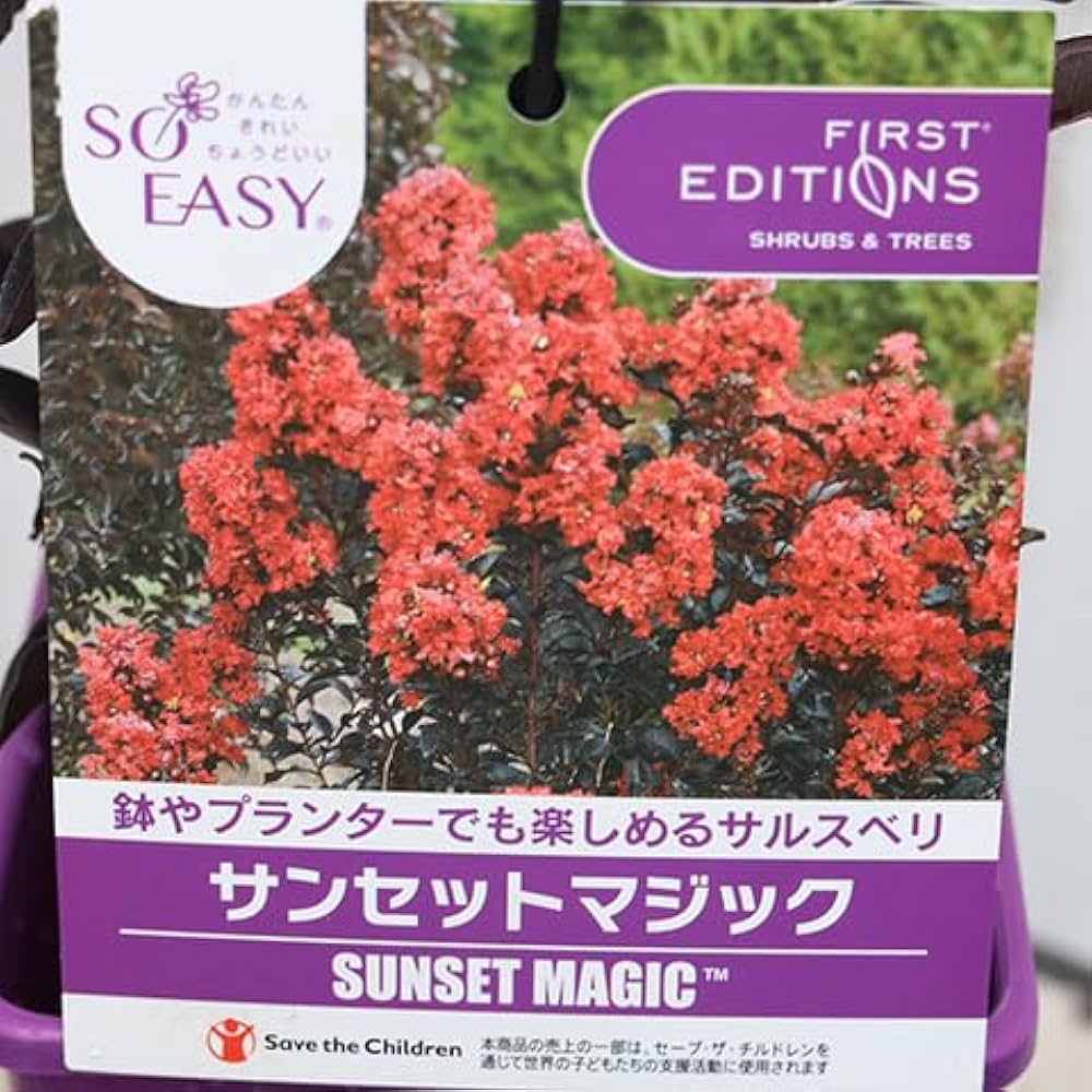 Amazon.co.jp: 花木苗 サルスベリ 百日紅 シャドーマジック サン