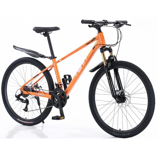 自転車 マウンテンバイク フルサス」の人気商品一覧 | 安い商品を通販