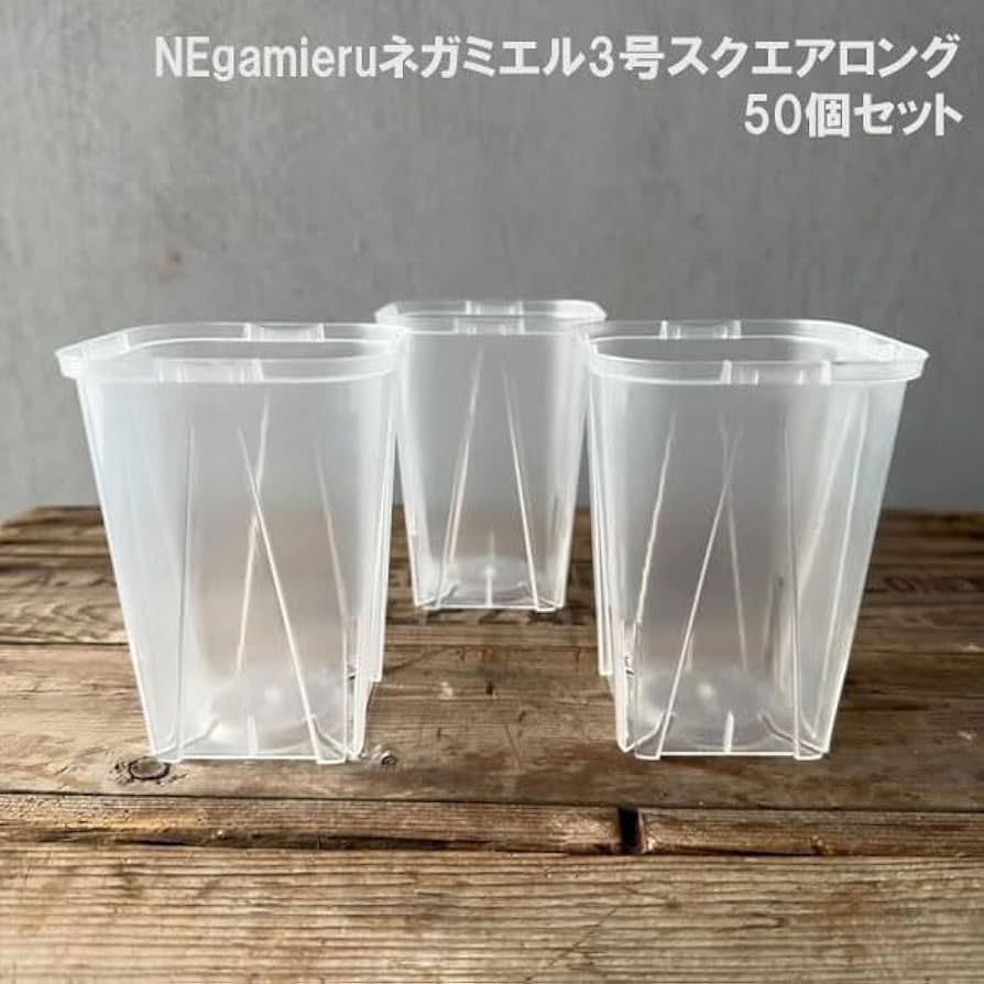 Amazon.co.jp: [浅岡園芸]スリット鉢（透明）：ネガミエル3号