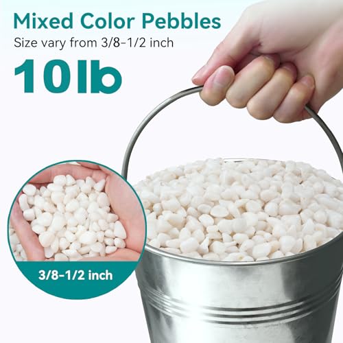 Image of 10 lbs Small White Rocks for Planters, 3 /8 inch White Pebbles for Vases, Decorative Small Stones for Plants, Succulents, Bamboo, Terrarium, Landscape, Garden
