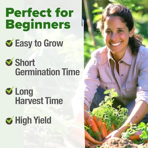 Image of HOME GROWN Tendersweet Carrots Seeds 3000+ Heirloom Non-GMO Seeds for Planting,High Germination,Sweetest Coreless Root Vegetable, Crunchy Summer Garden,Great for Canning (Daucus carota subsp. sativus)
