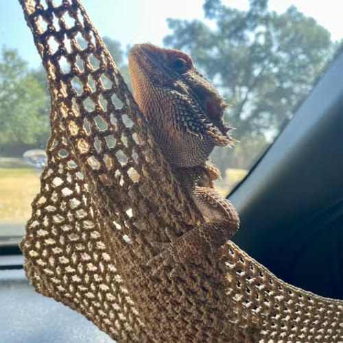 Red puente serpientes y geckos que optimiza el espacio del terrario 4