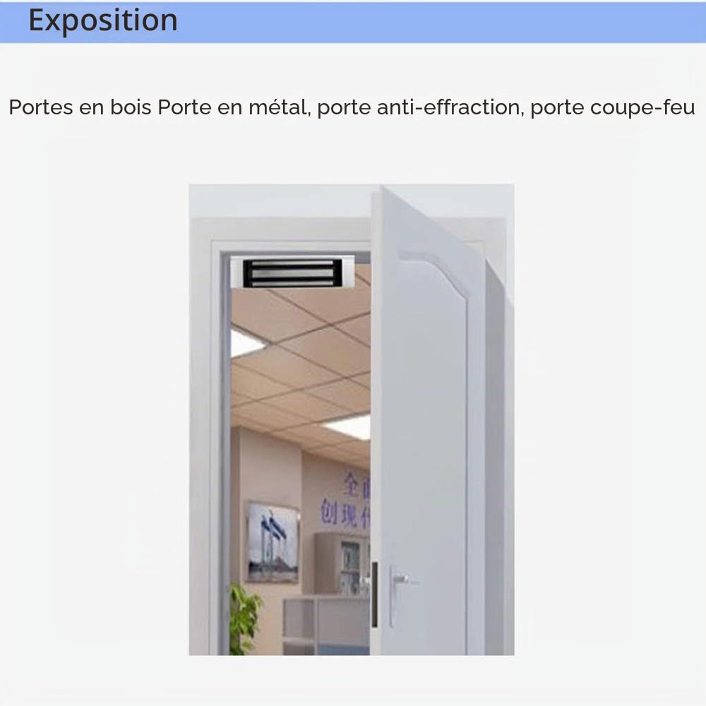YAVIS Étanche Serrure électrique magnétique 180 kg 350LBS Serrure électromagnétique pour système de contrôle d'accès, verrouillage de porte magnétique DC 12V, sécurité extérieure et