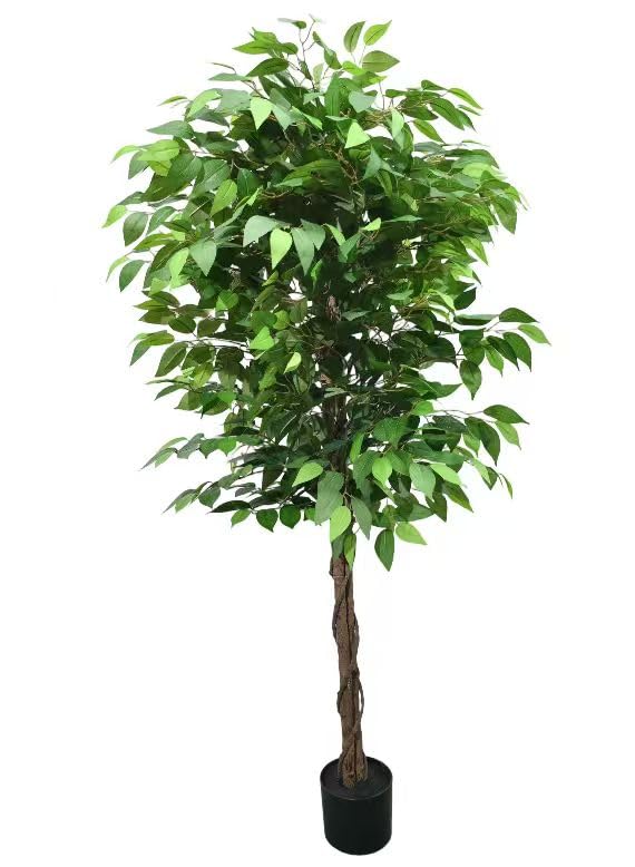 LYERSE フェイクグリーン ベンジャミン 高約152cm 観覧植物 人工観葉樹 観葉植物 フェイク 造花 シンプル オフィス 室内 インテリア