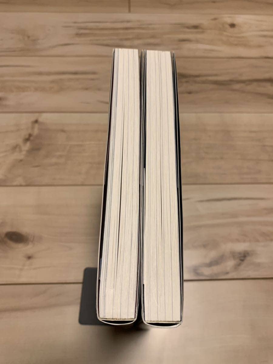 Amazon.co.jp: 極美品初版メタバロンの一族 上下set アレハンドロ