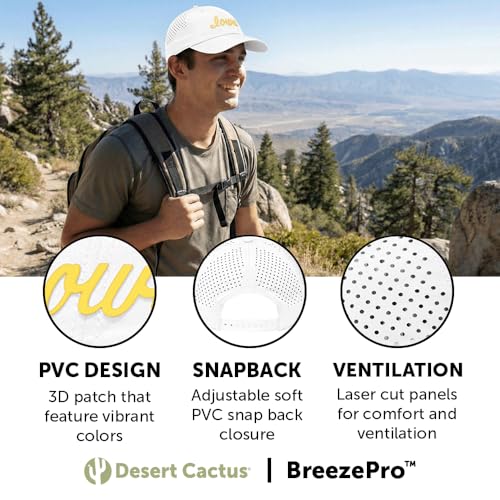 Gorra snapback Desert Cactus Iowa BreezePro miniatura 3
