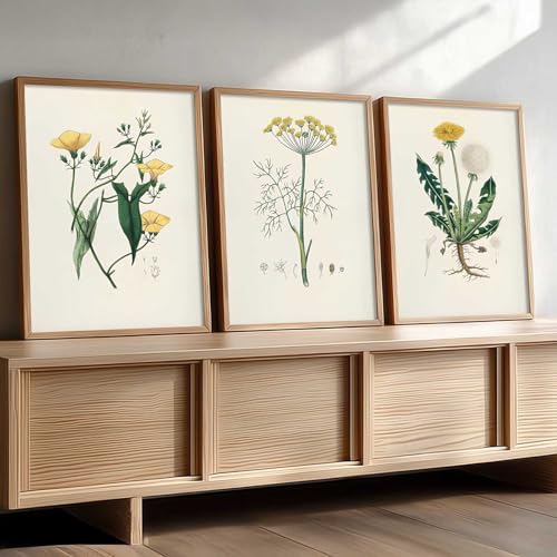 Image of kotart Decorative Aesthetic Botanical Art Home Decoration Painting | Floral Paintings With Frame For Living Room Bed Room Hotel Wall Decor Digital Reprint Set of 3