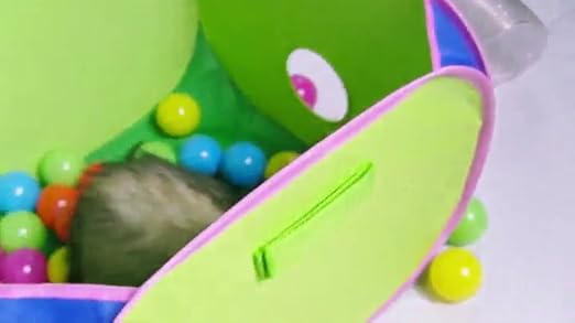 dog ball pit amazon