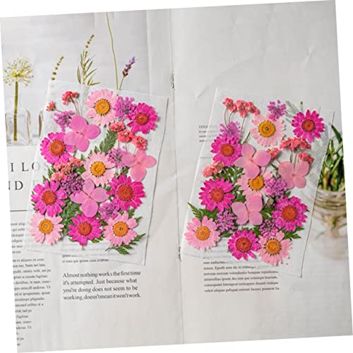 NOLITOY 50 flores secas para manualidades y decoración miniatura 5