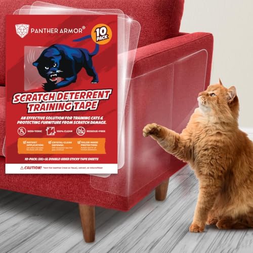 How to Keep Stray Cats off Your Porch: Try These Options! 18 10 Pack Cat Scratch Furniture Protector Tape Sheets – Double-Sided Sticky Training (5 XL, 5 Large)...