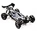 Integy RC Model C24618 i10B 4X4 High Performance 1/10 Buggy by INTEGY Less Electronics