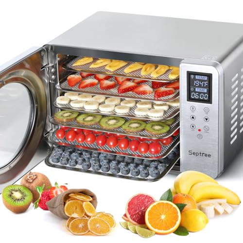 Silver Retro Food Dehydrator- 6 Stainless Steel Trays, 190℉ Max Digital Temperature Control, Built-in Light, 500W Efficient Drying Machine for Beef Jerky Fruit Mushroom& Yogurt
