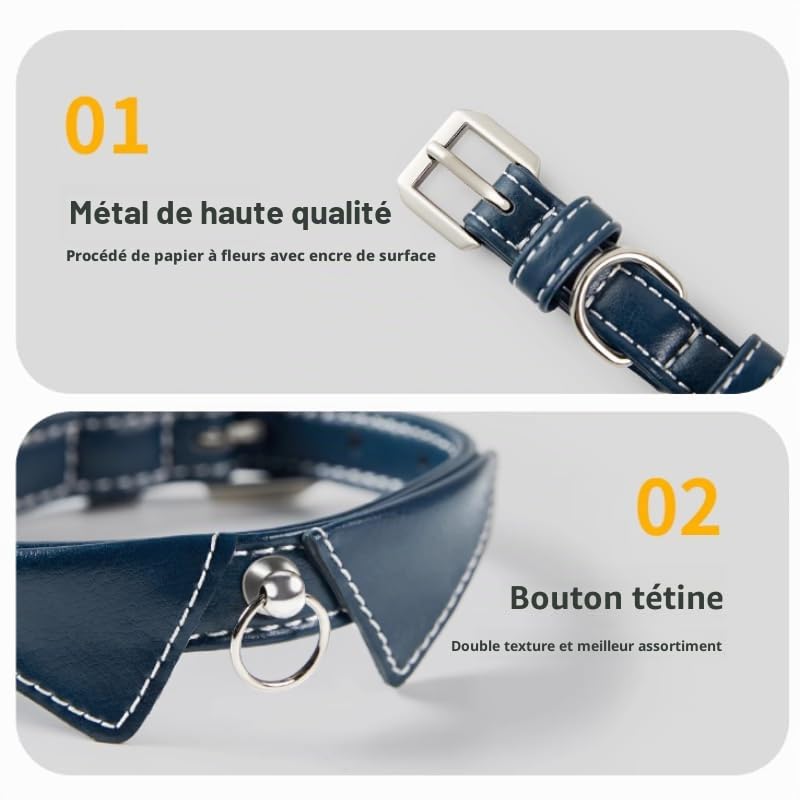 Collier en cuir personnalisé pour animal de compagnie avec plaque nominative gravée, convient pour les chats et les petits chiens