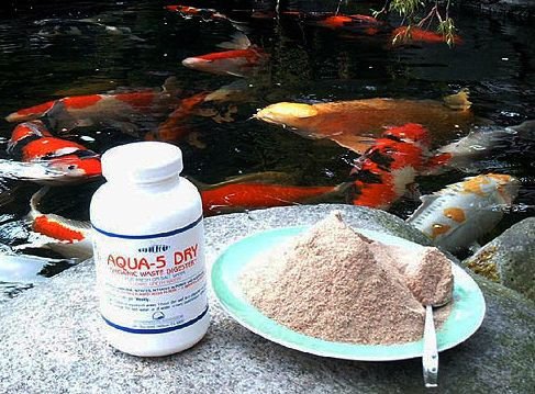 Aqua-5 Dry Hochkonzentrierte Teich u. Filterbaktieren f. Koiteich, Gartenteich, Schwimmteich, Aquarium für klares Wasser u. einer biologische Filterung ausreichend bis zu 37.500 l - 70g Mini-Dose