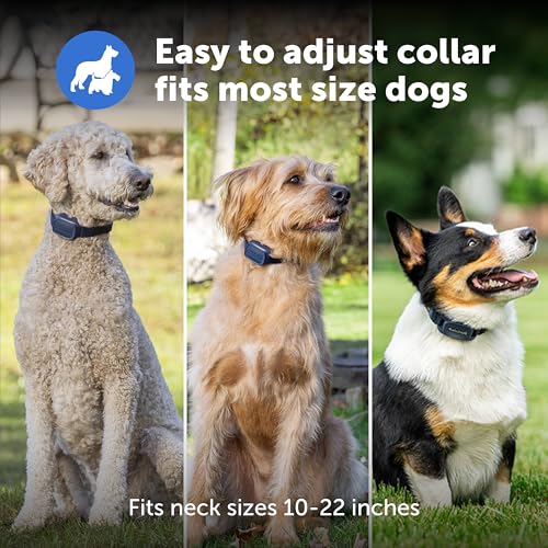 PetSafe Basic Dog Trainer with Remote, 300 Ft Range, 8 Static Levels - image 6