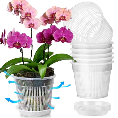 T4U Orchid Pot, 6 Pack 6.3 Inch Orchid Pots with Holes and Saucers, Clear Orchid Pots for Repotting, Plastic Flower Plant Pot for Indoor Outdoor Plants, Slotted Orchids Planter for Root Health