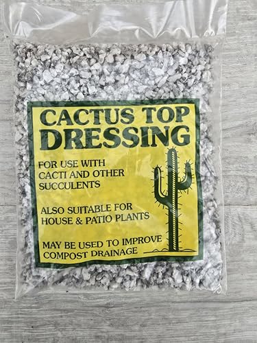 Cactus Top Dressing 800g. Great for Cacti/Cactus, Succulents and Houseplant/Indoor Plants. Perfect for decorating pots. (Silver)