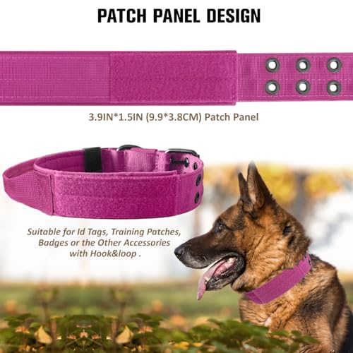 Taktisches Hundehalsband-Militärisches Hundehalsband verstellbares Nylon breit Trainings Halsband und strapazierfähige Metallschnalle Halsband für Mittlere Große Hunde (Rosa, L)