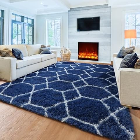 ONASAR Geometric Area Rug 4x6 Cover
