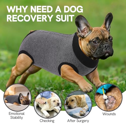 Image of SAWMONG Recovery Suit for Dogs Female Male, Cotton Breathable Dog Onesie After Surgery Spay Neuter, Professional Dog Surgical Suit, Substitute Pet E-Collar Cone (Grey, 3X-Large)