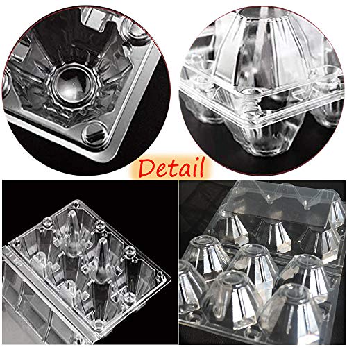 20 PCS 6 Girds Plastic Egg Cartons,Kitchen Plastic Egg Holder,Clear Egg Holder Storage Container for Family Pasture,Chicken Farm Business,Refrigerator Storage Market,Camping and Picnic