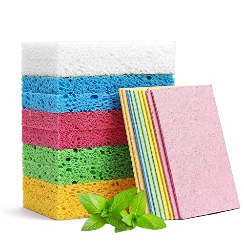 Esponja ecologica Cocina, 10 Paquetes esponjas Cocina comprimida ...